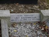 image of grave number 198915